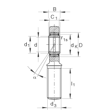 桿端軸承 GAR45-DO-2RS, 根據(jù) DIN ISO 12 240-4 標(biāo)準(zhǔn)，帶右旋外螺紋，需維護(hù)，兩側(cè)唇密封