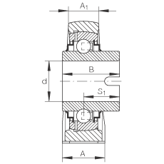 直立式軸承座單元 RASEL50-N, 鑄鐵軸承座，浮動軸承，內(nèi)圈有驅(qū)動槽，R 型密封